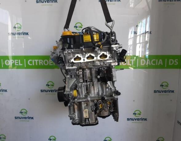 Bare Engine RENAULT Clio V (BF)