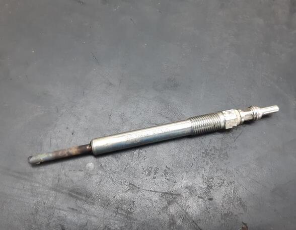 Glow Plug FIAT Grande Punto (199), FIAT Punto (199), FIAT Punto Evo (199)