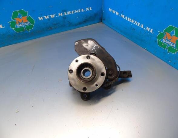 Stub Axle RENAULT Twingo II (CN0)