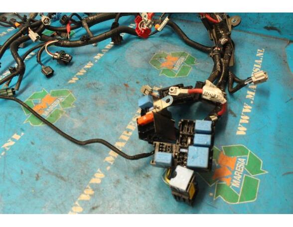 Wiring Harness RENAULT Captur I (H5, J5), RENAULT Clio IV (BH), RENAULT Clio III (BR0/1, CR0/1)