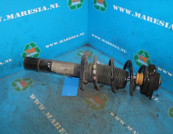 Suspension Strut SEAT Leon (1P1)