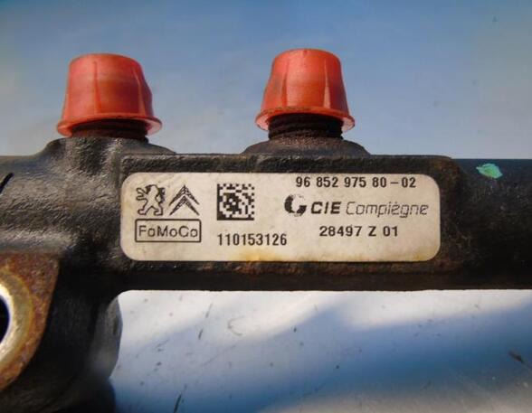 Petrol Fuel Rail FORD Fiesta VI (CB1, CCN)