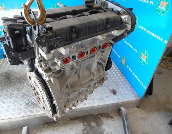 P17216597 Motor ohne Anbauteile (Benzin) FORD EcoSport 1793805