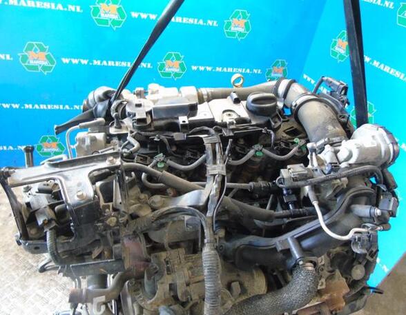 Motor kaal FORD Fiesta VI (CB1, CCN)