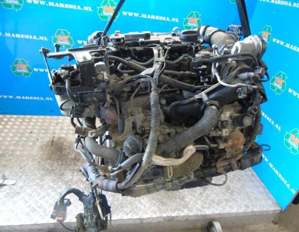 P17271971 Motor ohne Anbauteile (Diesel) FORD Fiesta VI (CB1, CCN) 1866263