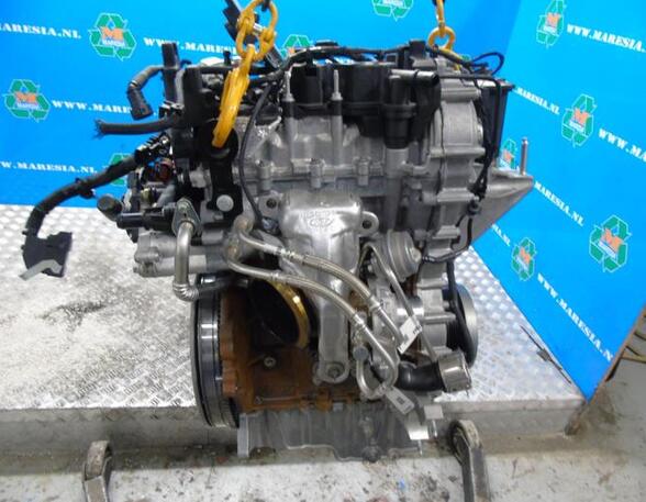 P17782059 Motor ohne Anbauteile (Benzin) FORD Puma 2462774