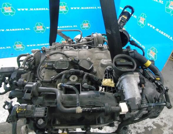 P18083559 Motor ohne Anbauteile (Benzin) FIAT Punto (199)