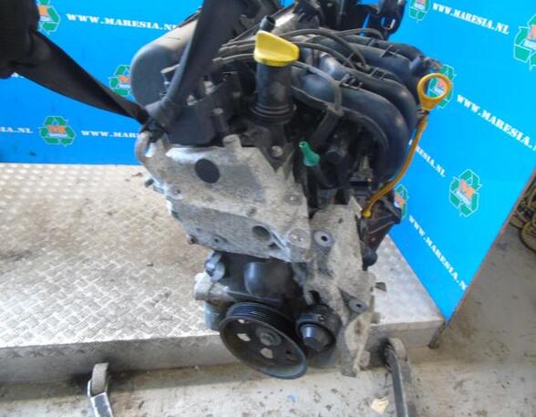 P18990061 Motor ohne Anbauteile (Benzin) RENAULT Twingo II (CN0)