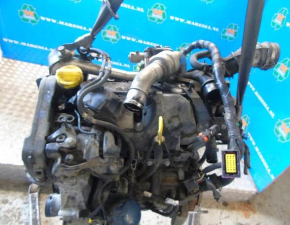P20328168 Motor ohne Anbauteile (Diesel) NISSAN Note (E11) 1010200QCJ