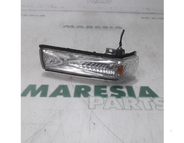 Direction Indicator Lamp FIAT Doblo Cargo (263), FIAT Doblo Großraumlimousine (263), FIAT Doblo Pritsche/Fahrgestell (263)