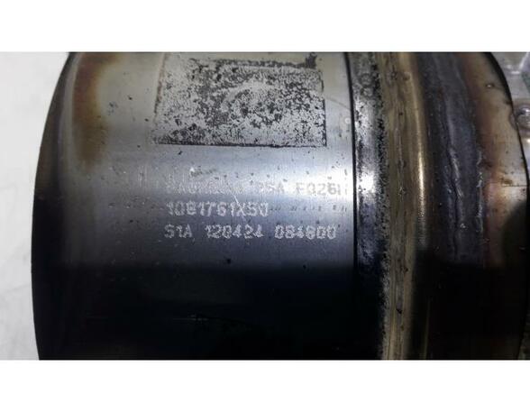 Diesel Particulate Filter (DPF) CITROËN C3 II (SC), CITROËN DS3 (--)