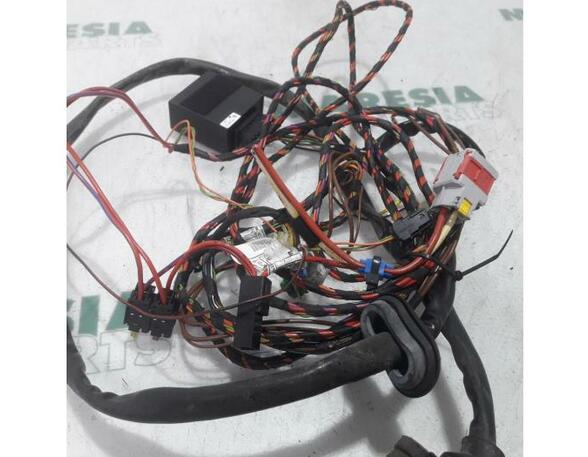 Wiring Harness CITROËN C3 Picasso (--)