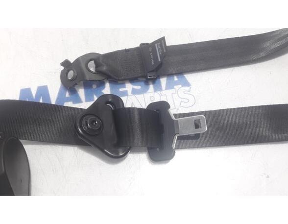 Safety Belts RENAULT Master III Kasten (FV)