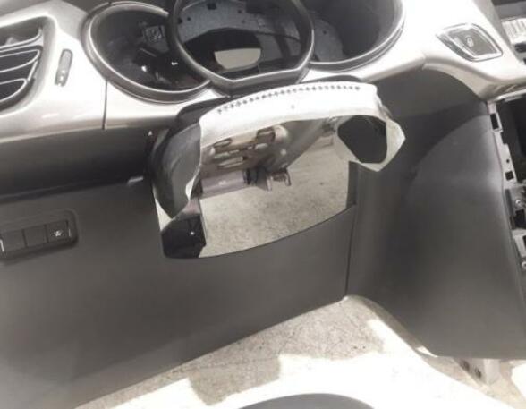 Driver Steering Wheel Airbag CITROËN C3 II (SC), CITROËN DS3 (--)