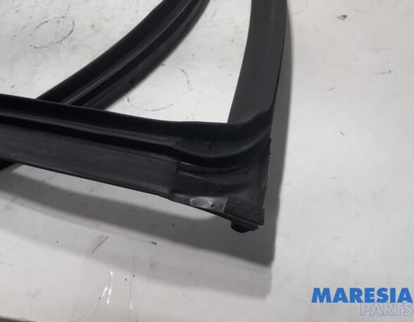 Door Seal ALFA ROMEO Mito (955)