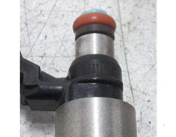 Injector Nozzle RENAULT Grand Scénic IV (R9), RENAULT Scénic IV (J9)