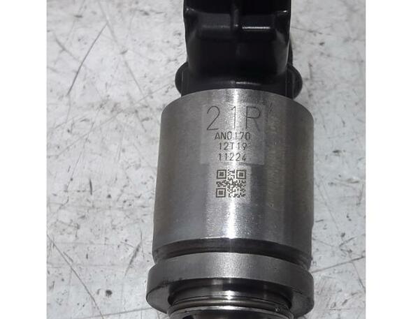 Injector Nozzle RENAULT Grand Scénic IV (R9), RENAULT Scénic IV (J9)