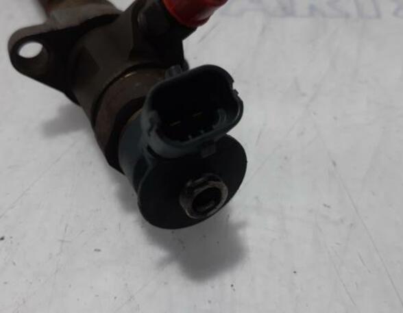 Injector Nozzle CITROËN C5 III (RD)