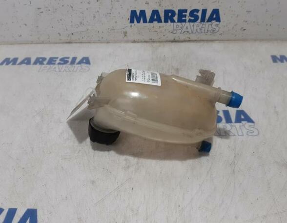 Coolant Expansion Tank RENAULT Clio V (BF)