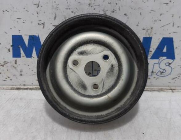 Water Pump Pulley PEUGEOT 207 (WA, WC)