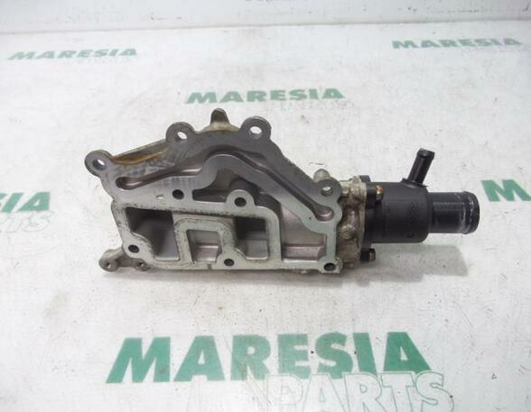 Thermostat Housing RENAULT Clio II (BB, CB), RENAULT Clio III (BR0/1, CR0/1)