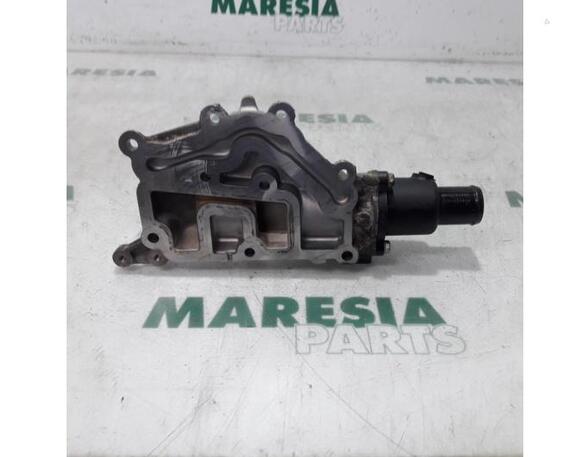 Thermostat Housing RENAULT Grand Scénic II (JM0/1), RENAULT Scénic II (JM0/1)