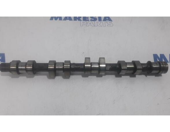 Camshaft PEUGEOT 206 Schrägheck (2A/C)