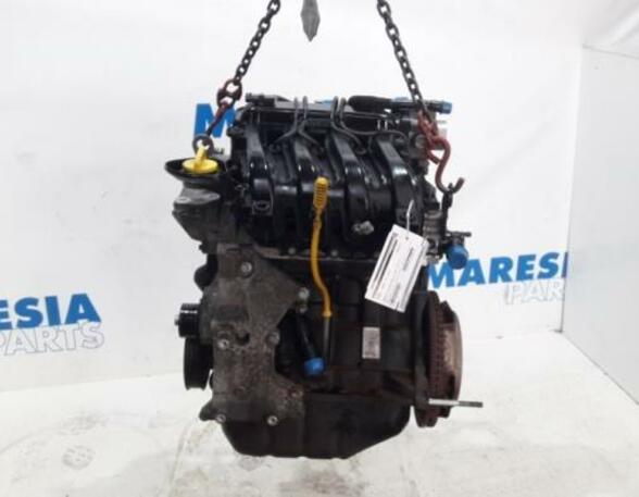 Bare Engine RENAULT Twingo II (CN0)