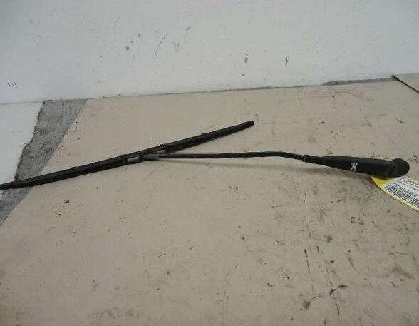 Wiper Arm RENAULT Kangoo Express (FC0/1)