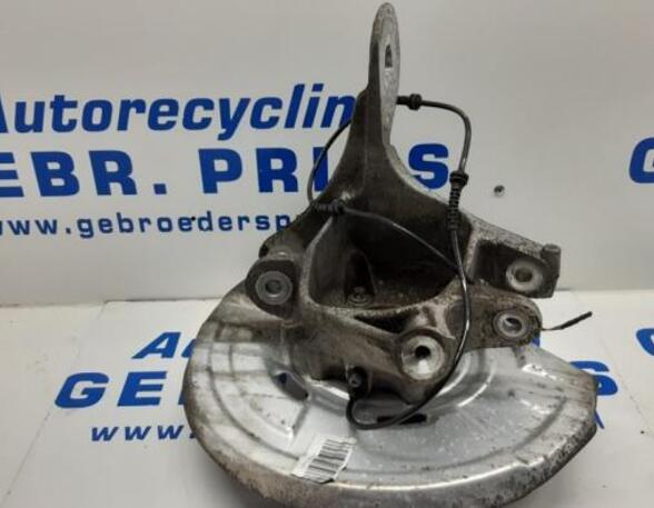 P19085606 Achsschenkel links hinten BMW 5er Touring (F11) DV13380L