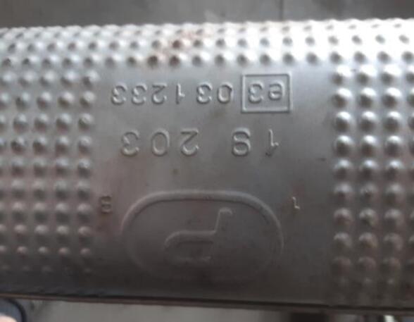 P18959802 Mittelschalldämpfer CITROEN C4 (L) E3031233