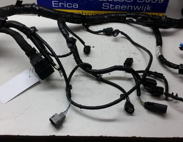 Wiring Harness FORD Fiesta VI (CB1, CCN)