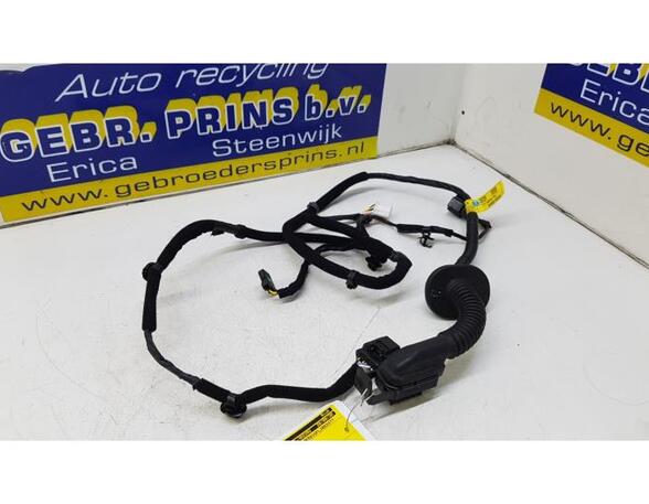 Wiring Harness HYUNDAI Kona (OS, OSE, OSI)