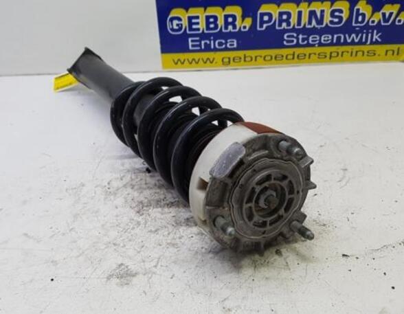 Suspension Strut PORSCHE 911 (997)