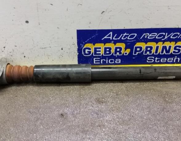 Shock Absorber VW Tiguan (5N)