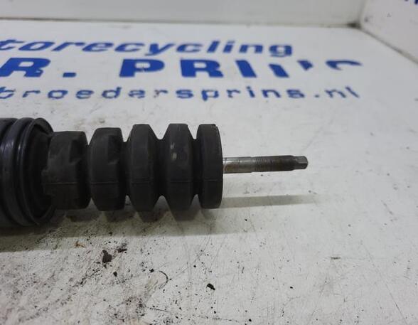 Shock Absorber RENAULT Clio III (BR0/1, CR0/1), RENAULT Clio II (BB, CB)