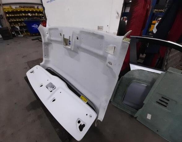 Front Interior Roof Trim Panel IVECO Daily IV Kipper (--)