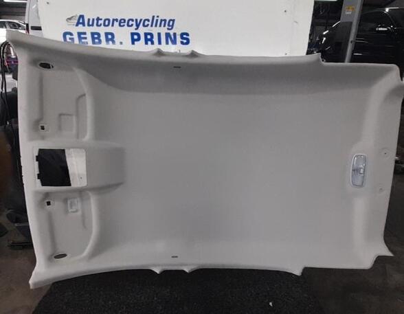 Front Interior Roof Trim Panel FORD Ecosport (--)