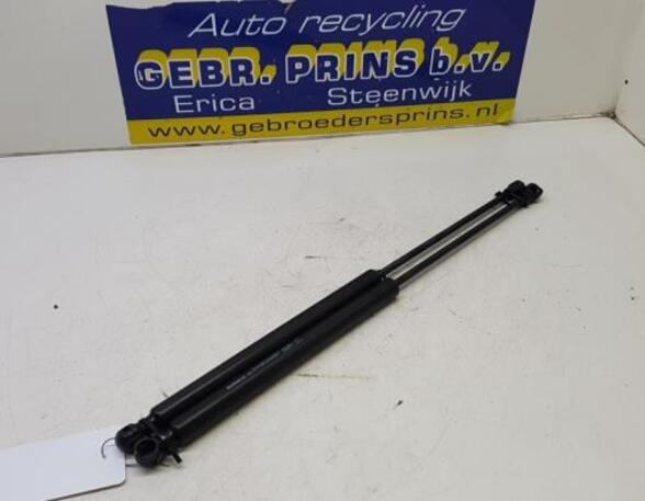 Bootlid (Tailgate) Gas Strut Spring RENAULT Twingo III (BCM)