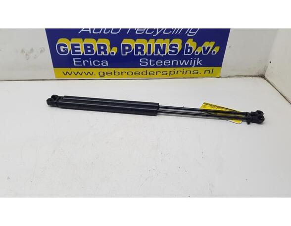 Bootlid (Tailgate) Gas Strut Spring RENAULT Twingo III (BCM)