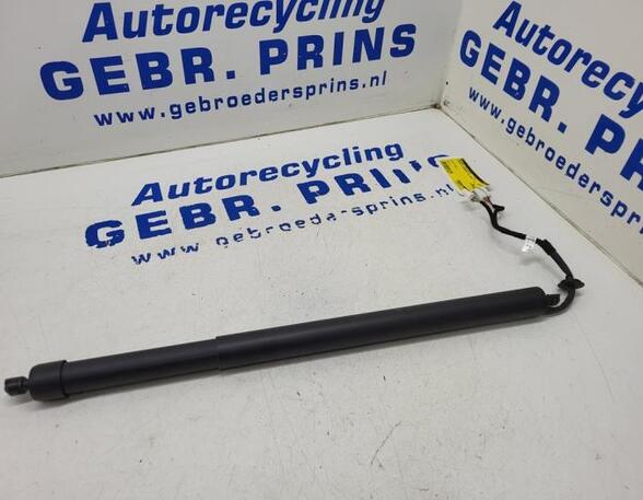 Bootlid (Tailgate) Gas Strut Spring CITROËN C5 Aircross (--)