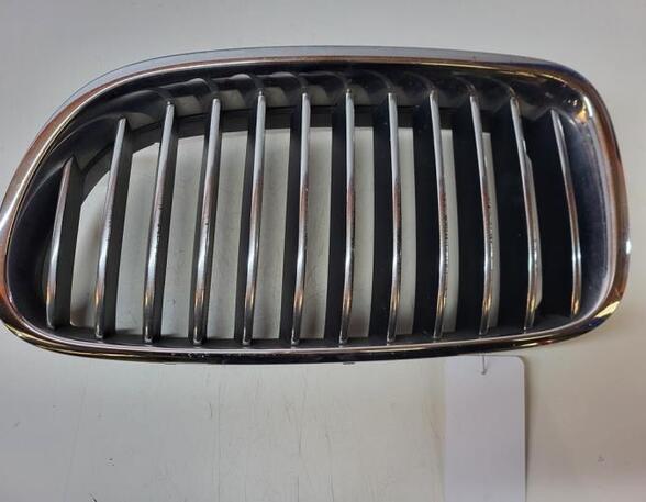 Radiator Grille BMW 5er (F10), BMW 5er Gran Turismo (F07), BMW 5er Touring (F11)