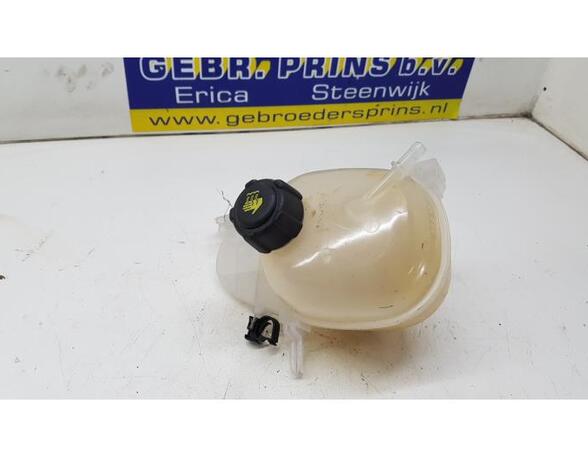 Coolant Expansion Tank RENAULT Twingo III (BCM)