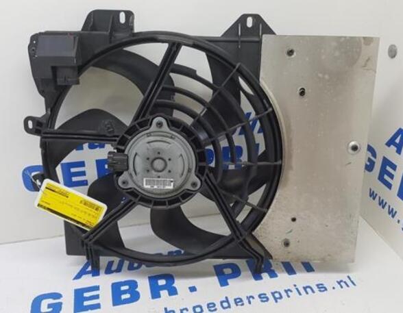 Radiator Electric Fan  Motor CITROËN C3 II (SC), CITROËN DS3 (--)