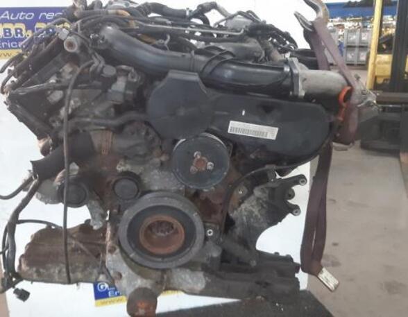 P17444473 Motor ohne Anbauteile (Diesel) AUDI A6 Avant (4F, C6) XXXXXX