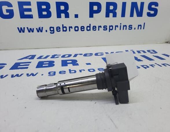 Ignition Coil VW Passat Variant (365)