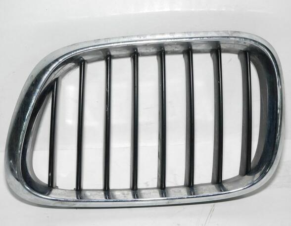 Plaat radiateurgrille BMW X5 (E53)
