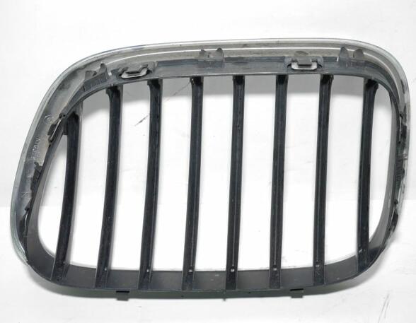 Plaat radiateurgrille BMW X5 (E53)