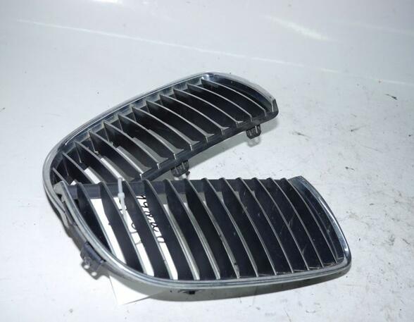 Radiator Grille Frame BMW 3er Touring (E91)