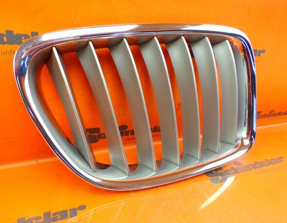 Radiator Grille BMW X1 (E84)